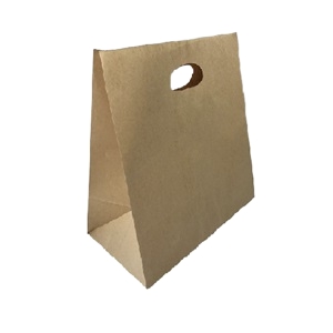 Die Cut Handle Paper Bag